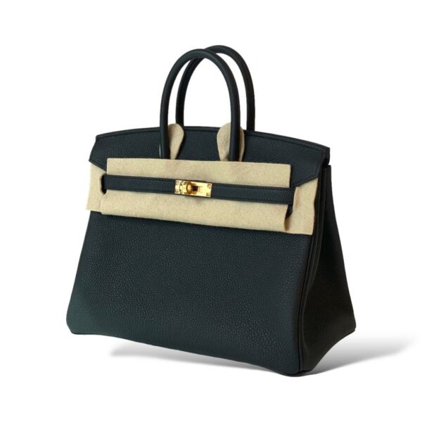 Hermes Birkin 25 Caban GHW - Image 3