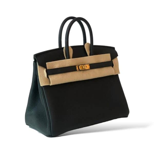 Hermes Birkin 25 Caban GHW - Image 2