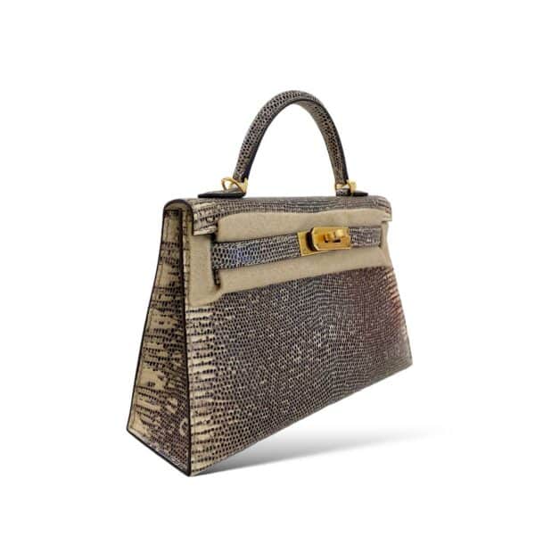 Hermes Kelly Mini Ombre Lizard GHW - Image 2