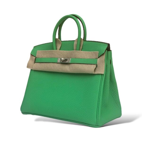 Hermes Birkin 25 Vert Comics Togo PHW - Image 5