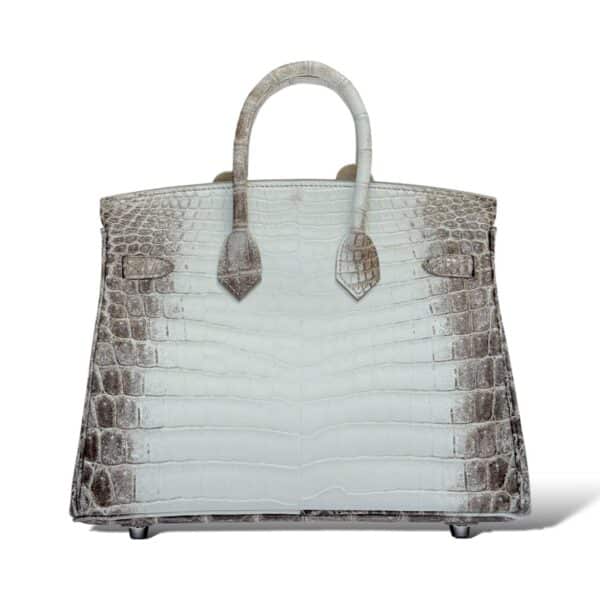Hermes Birkin 25 Himalaya PHW - Image 4