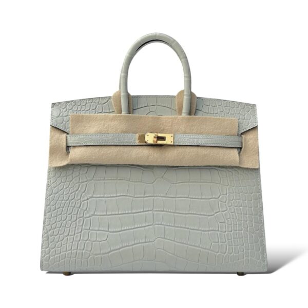 Hermes Birkin 25 Gris Neve Matte Croco GHW