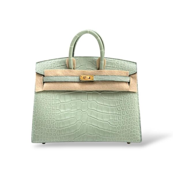 Hermes Birkin 20 Vert D'eau Croco GHW